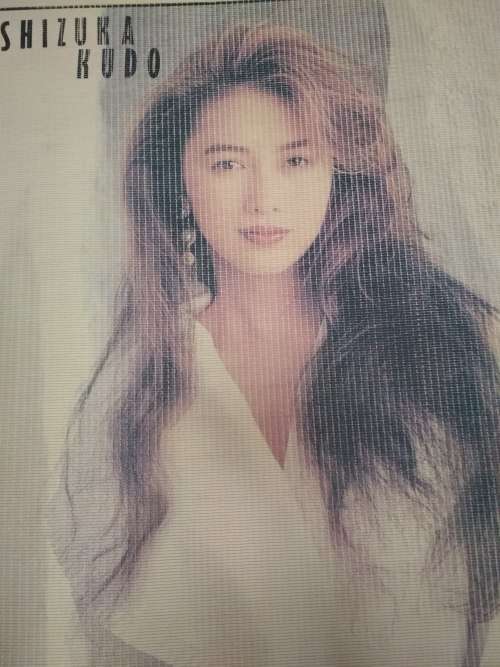 Shizuka Kudo (Japanese Singer Pop Idol) Wall Scroll (Rare)