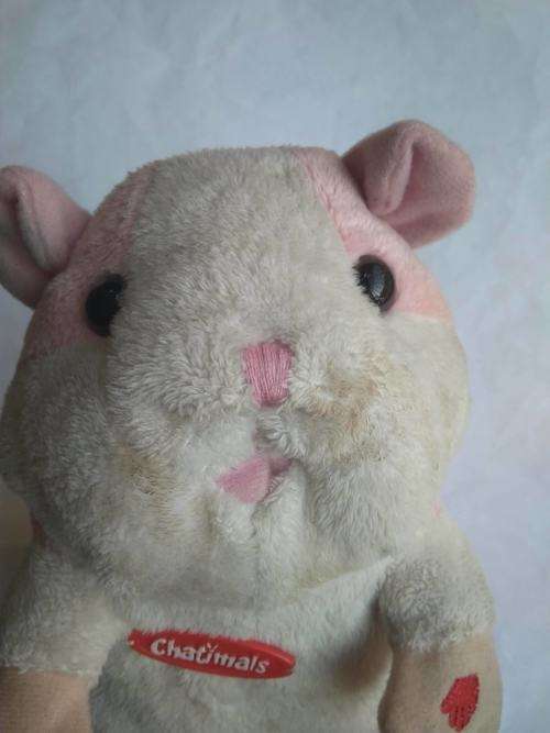 Chatimal Hamster