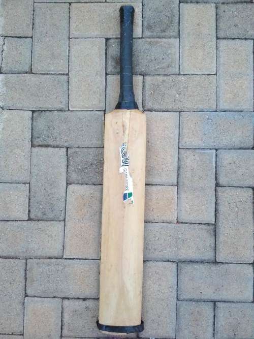 Cricket Bat (Gain More)