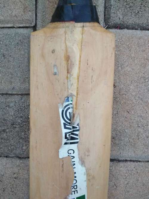 Cricket Bat (Gain More)