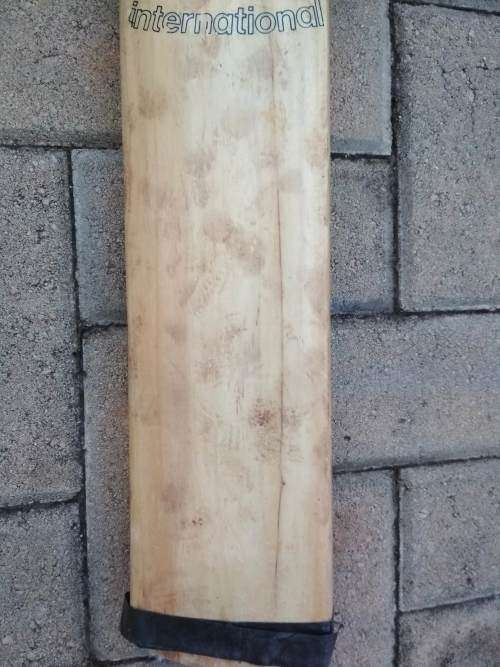 Cricket Bat (Gain More)