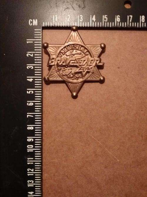 Vintage Bravestarr Brave Starr Plastic Marshal Toy Badge