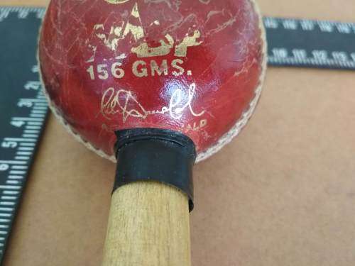 Wasp - Cricket Bat Mallet - 156 GMS (Allan Donald) & Poly Soft Ball (Official licensed WC Product)