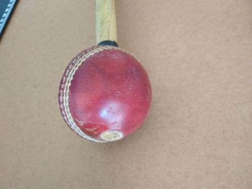 Wasp - Cricket Bat Mallet - 156 GMS (Allan Donald) & Poly Soft Ball (Official licensed WC Product)