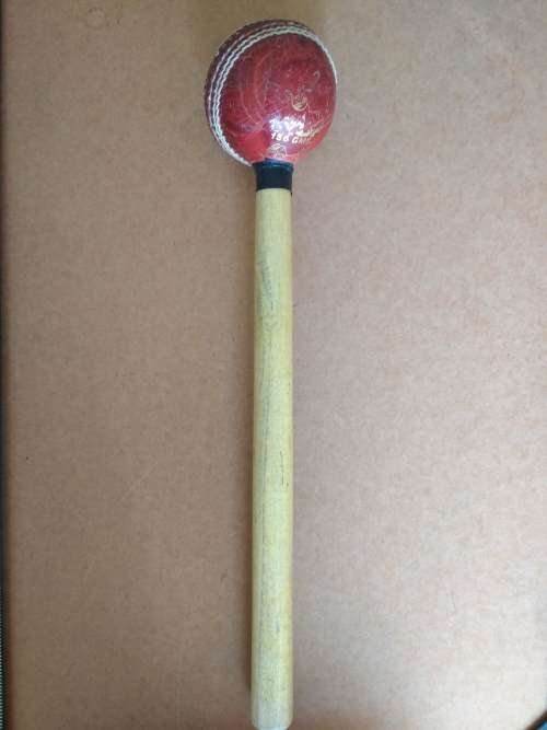 Wasp - Cricket Bat Mallet - 156 GMS (Allan Donald) & Poly Soft Ball (Official licensed WC Product)