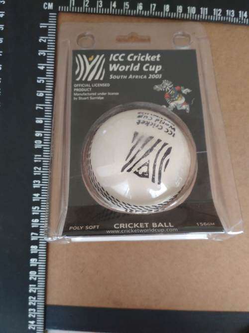 Wasp - Cricket Bat Mallet - 156 GMS (Allan Donald) & Poly Soft Ball (Official licensed WC Product)