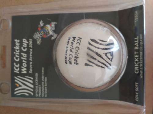 Wasp - Cricket Bat Mallet - 156 GMS (Allan Donald) & Poly Soft Ball (Official licensed WC Product)