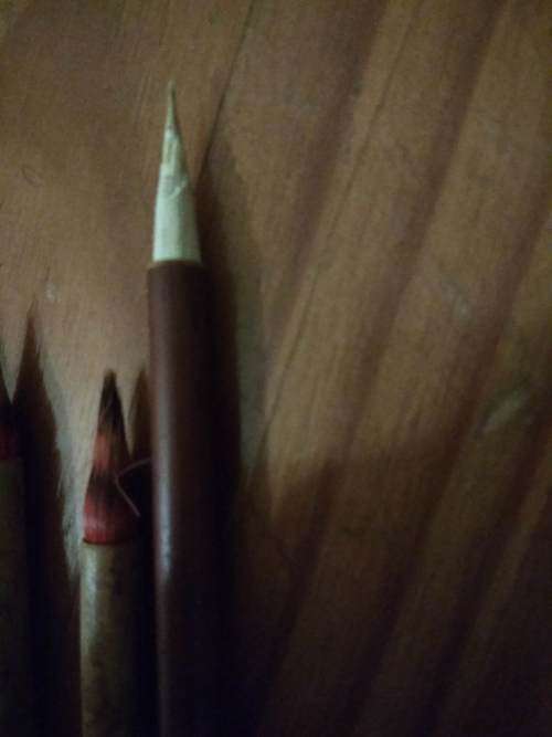 two brown China/ Chinese brushes *booked*