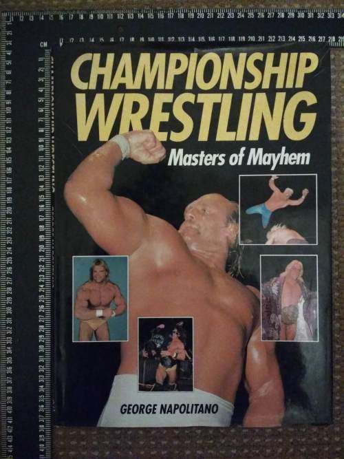Championship Wrestling Masters of Mayhem by George J. Napolitano (1991, Hardcover)