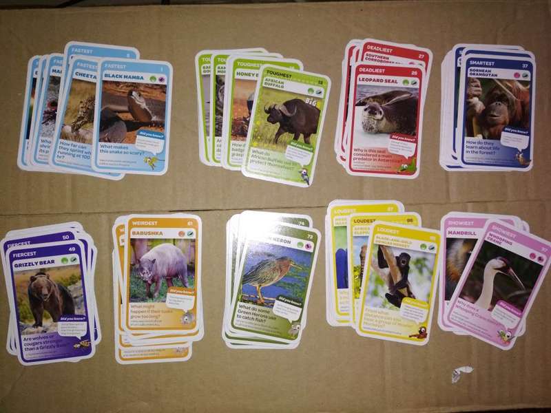 Pick n Pay Super Animals (Series 1) Complete Set of 108 Cards
