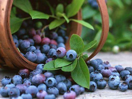 30ml Hangsen Blueberry Flavoured E Liquid 24mg