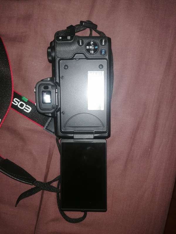 Canon m50 mark ii