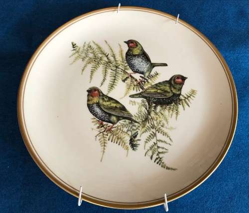 Green Twinspot (Liz McMahon) - Beautiful Birds of South Africa's Wilds, Heritage series