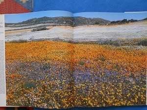 Garden of the Gods, by Freeman Patterson (signed by author)