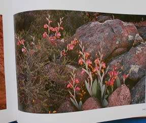 Garden of the Gods, by Freeman Patterson (signed by author)