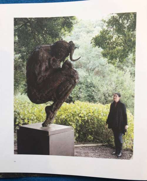 DYLAN LEWIS: UNTAMED exhibition, Kirstenbosch Gardens