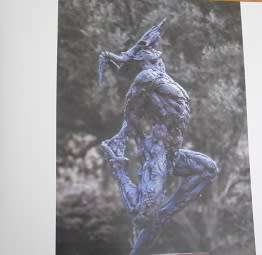 DYLAN LEWIS: UNTAMED exhibition, Kirstenbosch Gardens