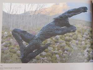 DYLAN LEWIS: UNTAMED exhibition, Kirstenbosch Gardens