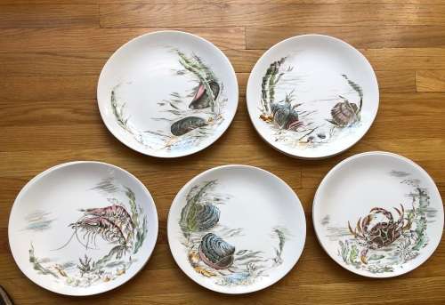 Johnson Brothers : 12 piece `Seafare` fish set of 2 serving platters and 10 dinner plates