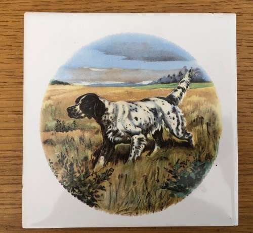Decorative handpainted tile of a dog (Pointer)