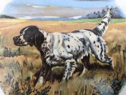 Decorative handpainted tile of a dog (Pointer)
