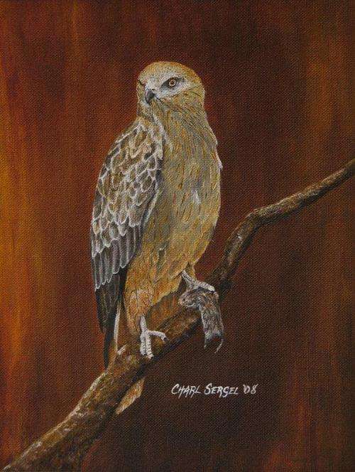 STUNNING KITE - Signed Original by Charl Sergel