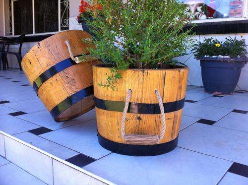 Oak barrel pot plant