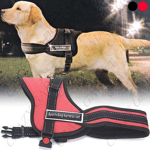 The New Safety Harness Three Ssize for Pets Safety
