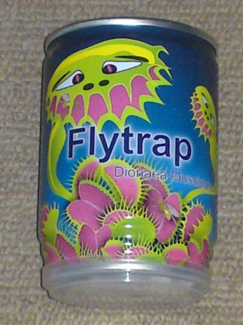 VENUS FLYTRAP IN A CAN