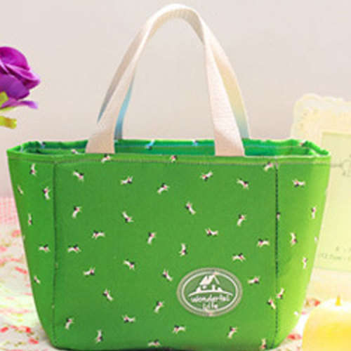 Lunch bag