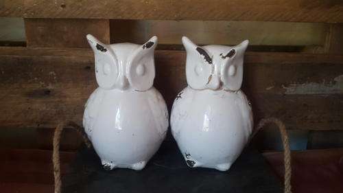White Decorative Owl Set