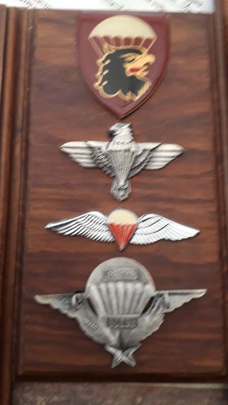 What a Intresting Para Batt Lot Ex Major Jumped With The French Badge Numbered Copy Certificates