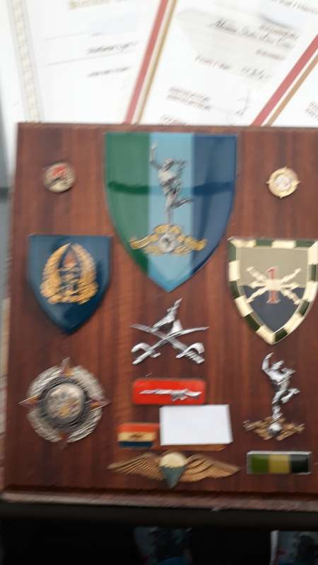What a Intresting Para Batt Lot Ex Major Jumped With The French Badge Numbered Copy Certificates