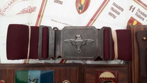 What a Intresting Para Batt Lot Ex Major Jumped With The French Badge Numbered Copy Certificates
