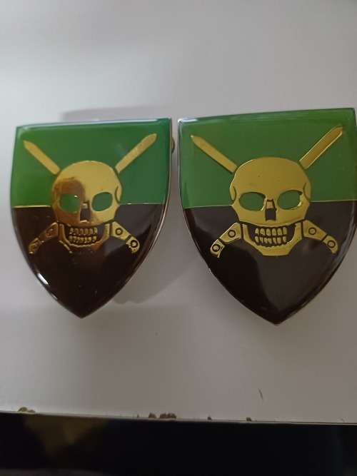 S.A. CAPE CORPS INFANTRY BATTALION SET OF 2 FLASHES ALL PINS