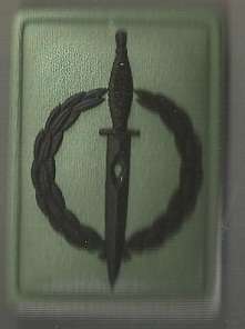 SPECIAL FORCES DIAMOND OPERATOR (10 YEARS) badge w/pins