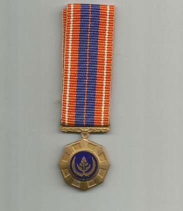 SADF Pro Patria Medal (miniature)