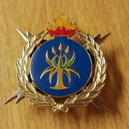 SAPS Bomb Disposal Breast Badge