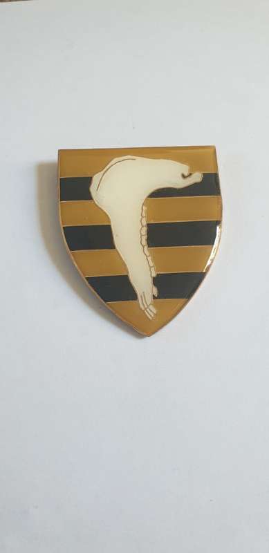 Mariental Commando shoulder flash
