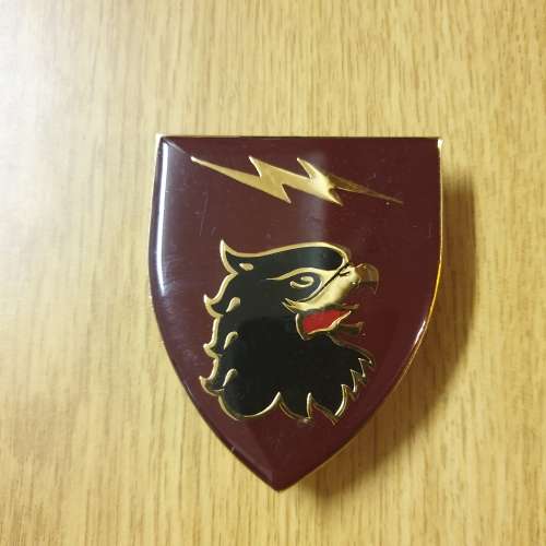 44 Para Signals Unit shoulder flash
