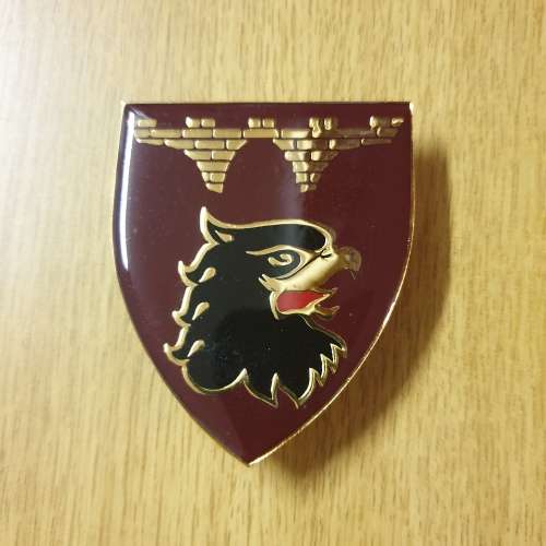 44 Para Engineers Regiment shoulder flash