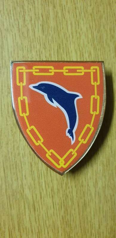 13 GSB Port Elizabeth shoulder flash