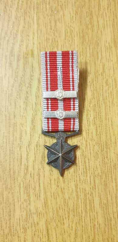 Police Combating Terrorism Miniature Medal
