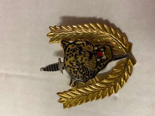 Executive Outcomes beret badge