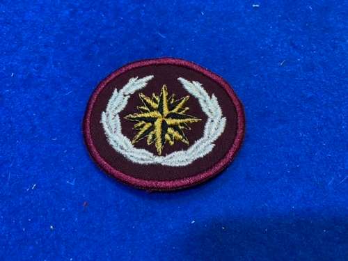 Special Forces beret badge