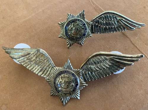 SAP police pilot wings set