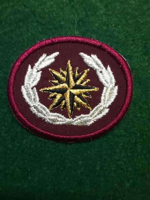 Special Forces beret badge