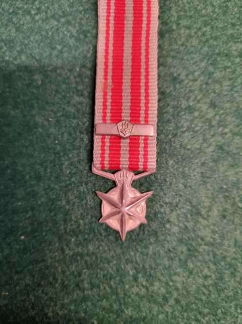 SAP Police Combatting Terrorism miniature medal