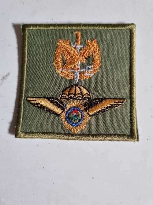 Police Task Force Operator/Parachute Wing badge