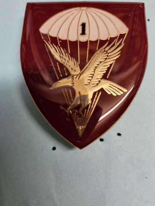1 Parachute Battalion shoulder flash